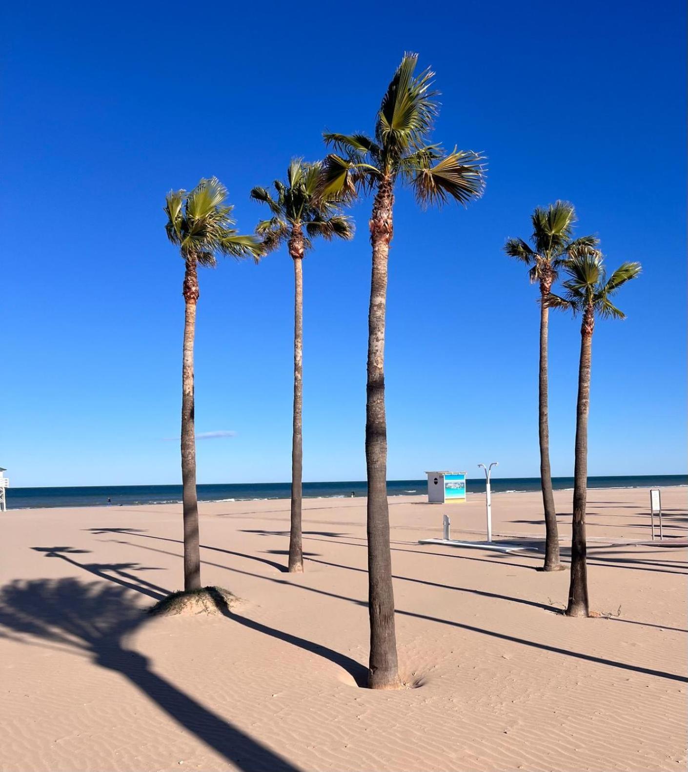 Ap Cande Playa De Gandia Eksteriør billede